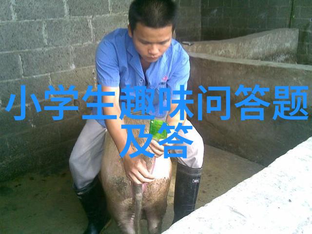 梦幻庄园攻略揭秘这座神秘庄园我如何找到了隐藏的宝藏