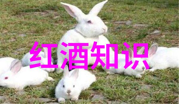 苏轼文学与政治双才俊