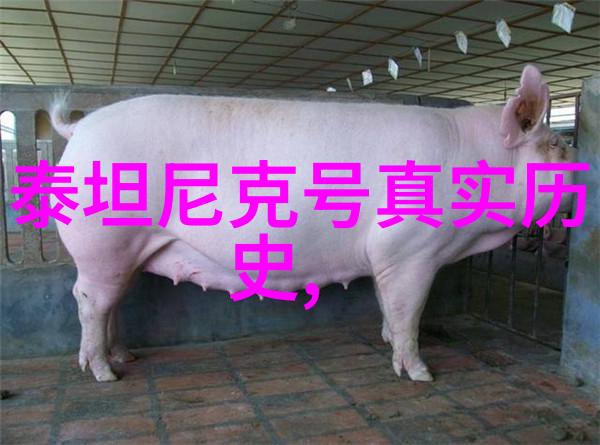 科西嘉岛上的贵州农民在讨论他们的粮食主产区问题