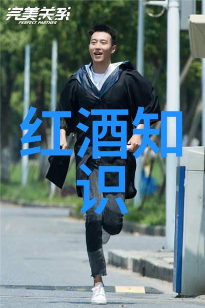 在法国著名葡萄酒产区体验田园风光你会遇到什么样的自然景观