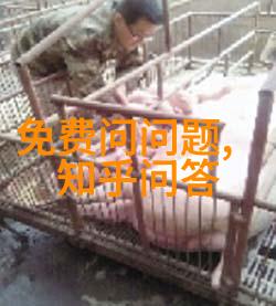 西班牙葡萄酒产区与社会的指数基金估值分析