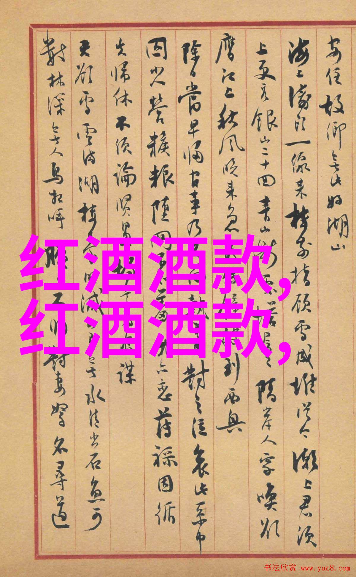 每个角落都有故事深入了解不同猫咪品种背后的秘密