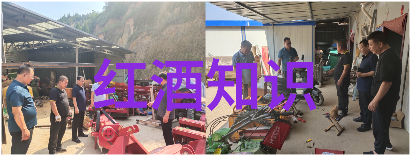 周边旅游景区探索周遭自然风光