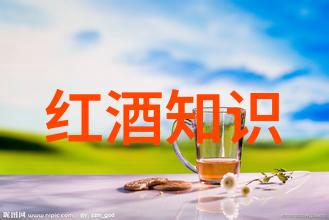 葡萄酒的著名产区巴黎地区葡萄酒产区波尔多地区葡萄酒产区特里诺蒂诺白葡萄酒产区