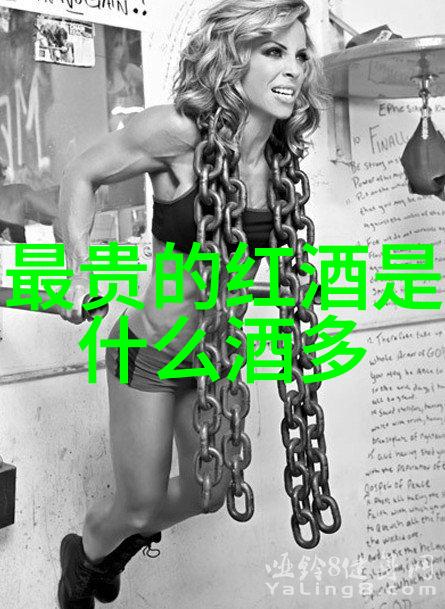 庞兹酒庄豪宅别墅中的珍品藏品