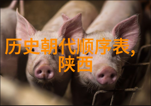 猫的种类大全揭秘世界上最受欢迎的猫咪