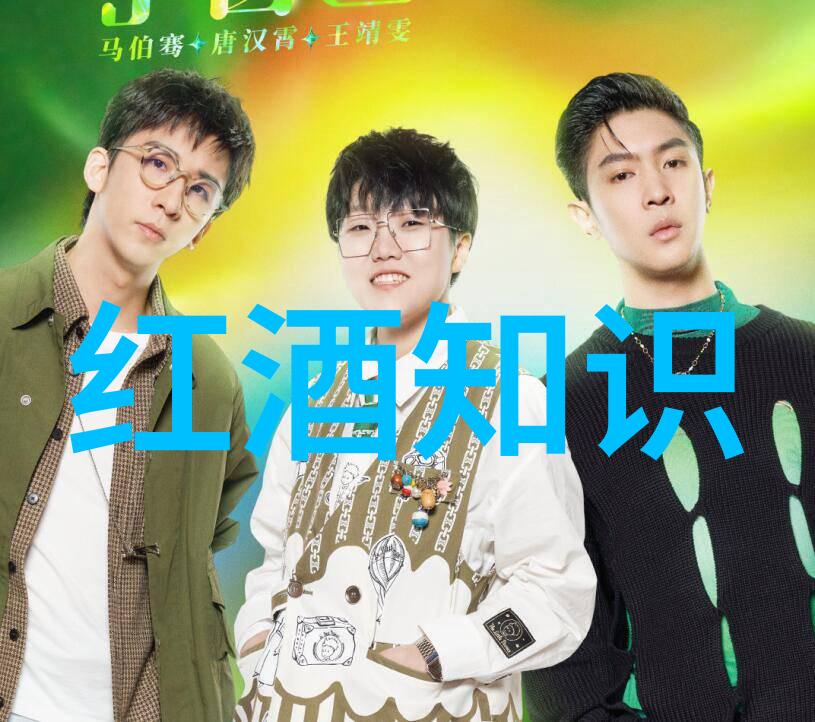 葡萄酒文化-探索Condasavel红酒品味巴西的葡萄酒传奇