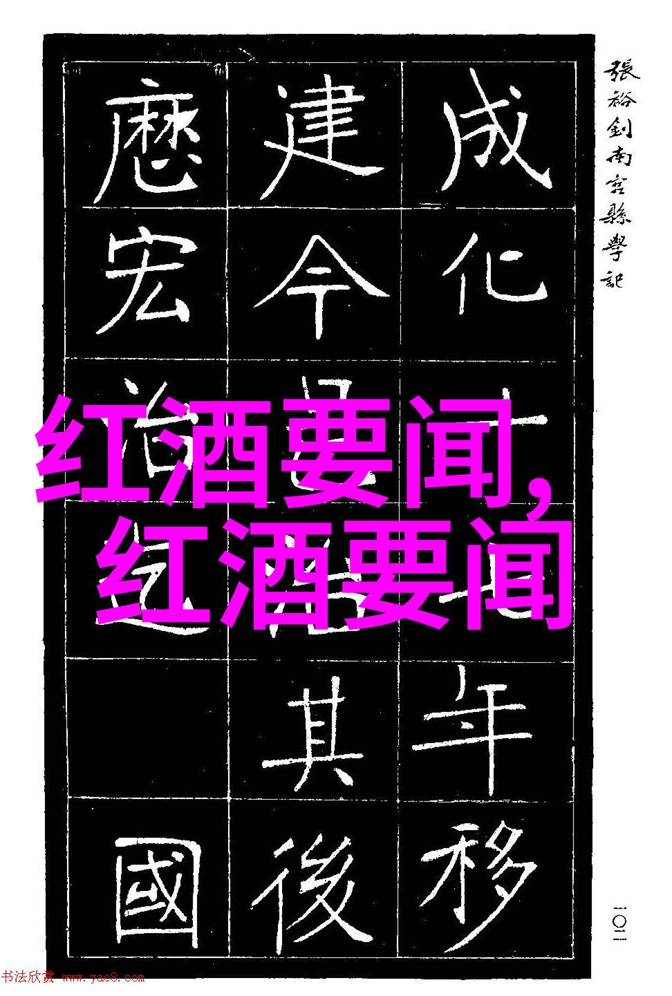 探索玉米之美丰富品种图片大全