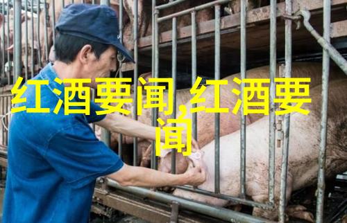 2016意大利葡萄酒界巨星第80-第76位教你画动漫少女的艺术之光