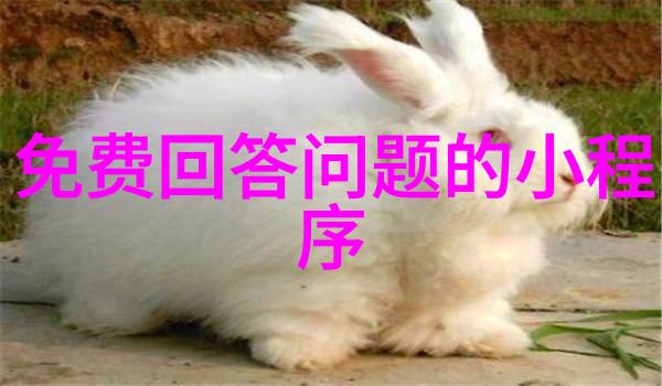 冬暖时温馨守护冬日的秘密