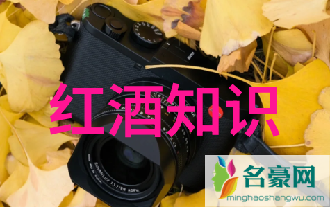 英国风云唐顿庄园的隐秘纠葛