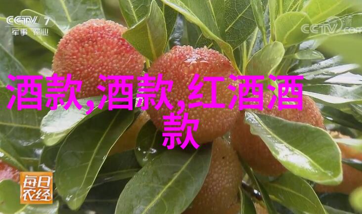 蚂蚁庄园的智慧果实2022年今日之答于酒香中绽放