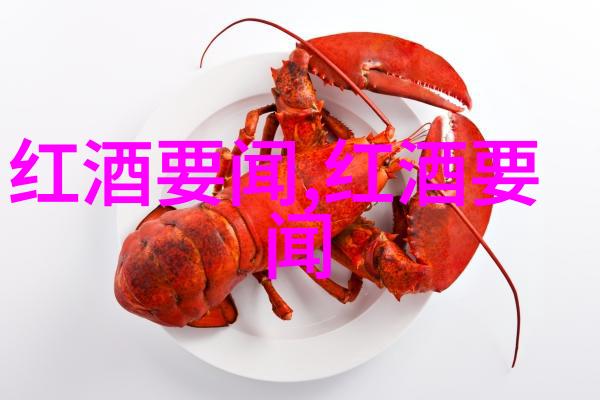 从未有过的记忆我与历史的对话