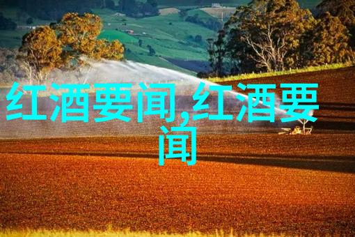 在家中如何合理布置和展示我的油画收藏