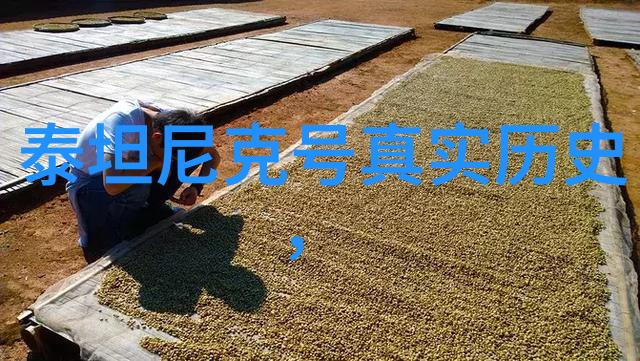 从厨房到餐桌赤脚医生的秘密料理技巧煮红酒篇