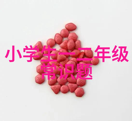 圆明园简介与历史探秘八国联军侵华后的文化宝库