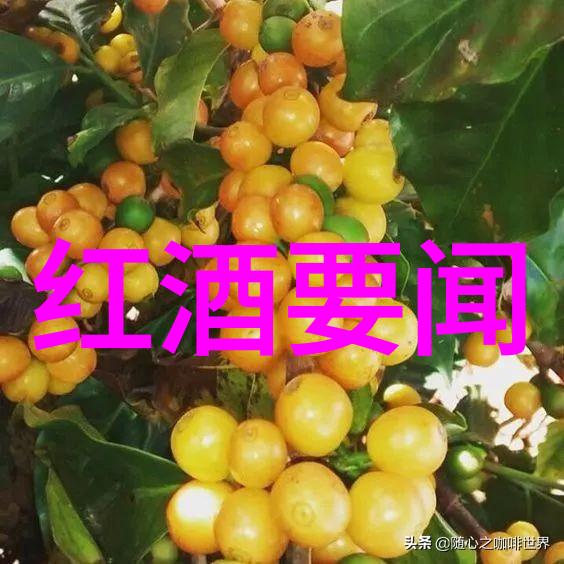 葡萄酒知识分享-品鉴技巧与藏酒保养秘诀