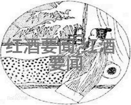美短猫品种介绍探索这款小巧却迷人宠物的魅力