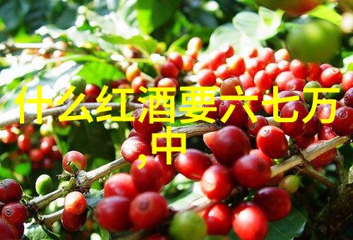 张居正明朝复兴时期的杰出宰相