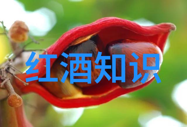 旧书网探索古籍与二手书的共生世界