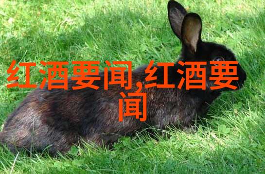在婚礼摄影时有哪些秘诀可以帮助捕捉最美丽的一刻