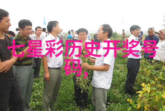 一路向西的种子