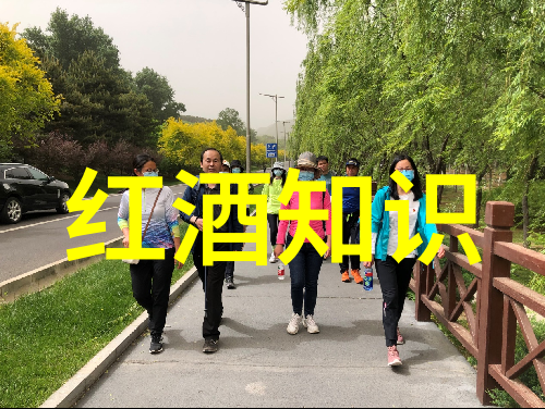 醉心葡萄一段时光的沉淀