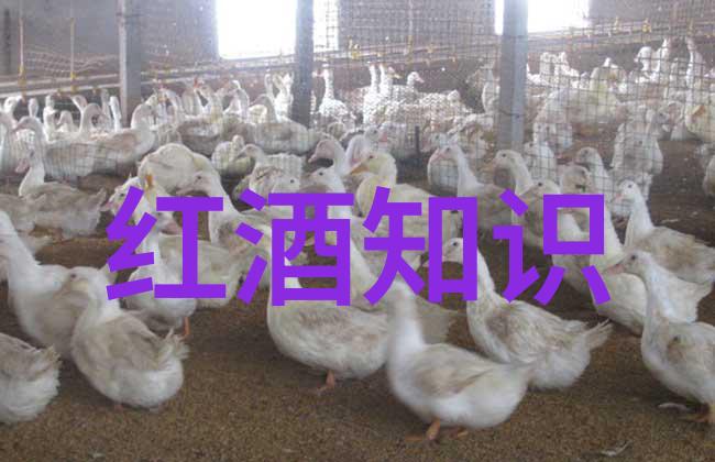 玉米种类盛宴QUINI分析平台开启新篇章