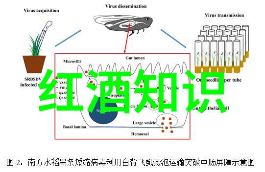 主题-探秘庄园小课堂解读往昔的学问题目