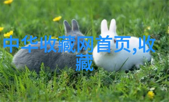 北京庄园开发商老板是谁-探秘京城豪宅背后的亿万富翁揭秘北京庄园开发商的真实面孔