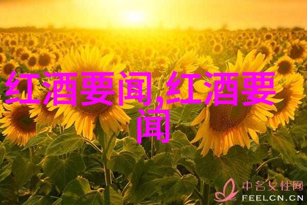 极品妇女的私密空间