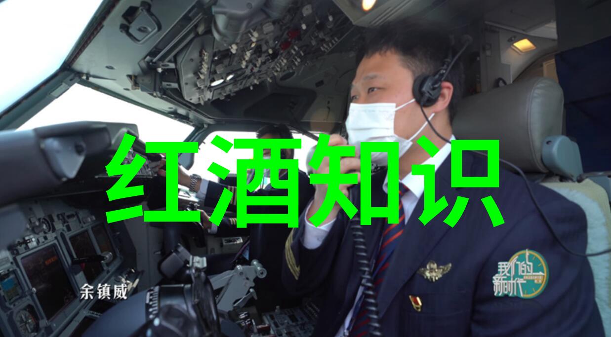 梦幻堡垒设计灵感来源于哪些地方造就了地球上最壮观的住宅