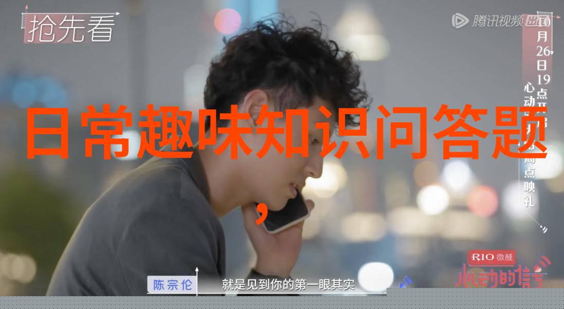 球根玫瑰与蔷薇玫瑰两大主流品种对比