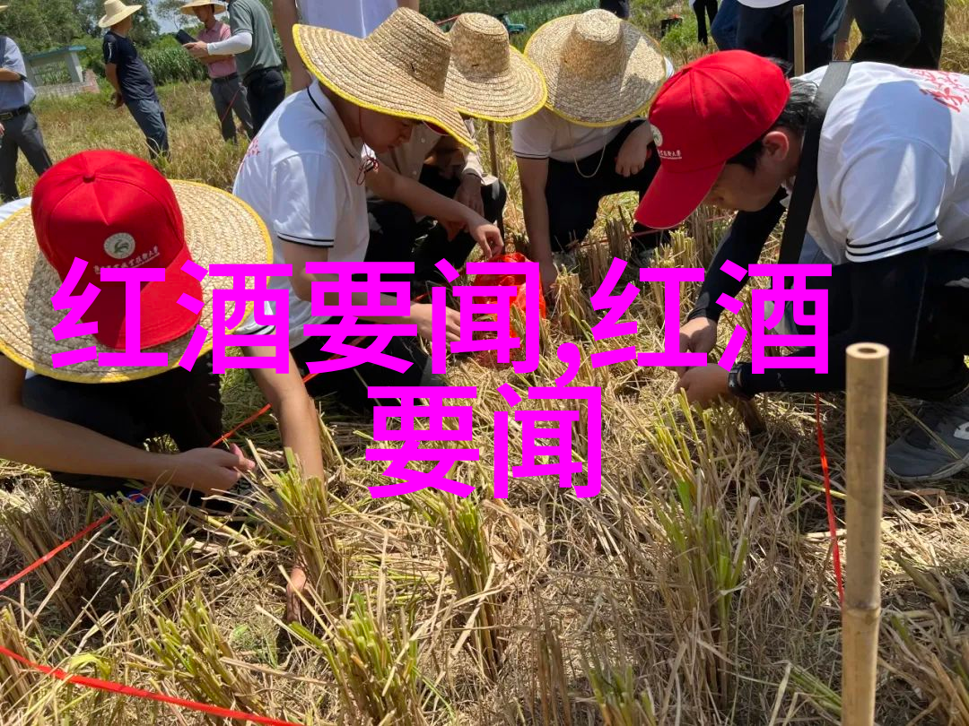 探索巴斯克酒庄的秘密Vina Los Vascos的深邃故事