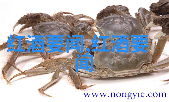传统猫咪和现代杂交猫咪有什么区别