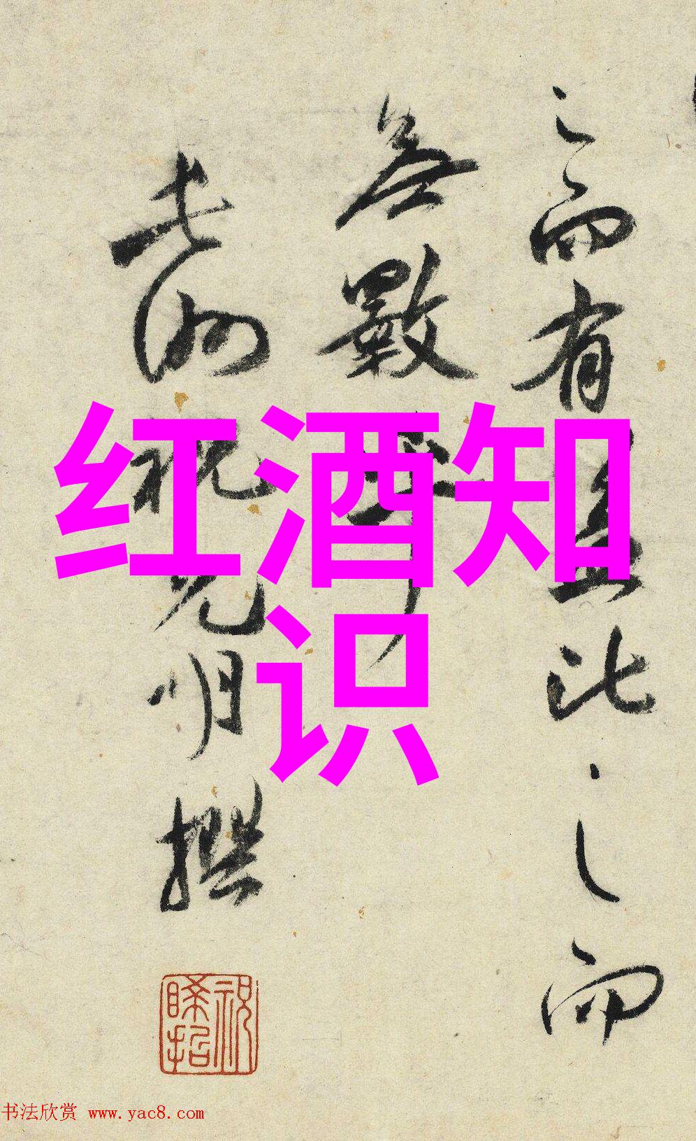有他撑腰追逐梦想的坚定后盾