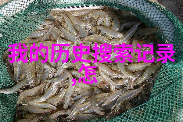 猫科动物有哪些品种-探秘猫科宠物多样化的品种世界