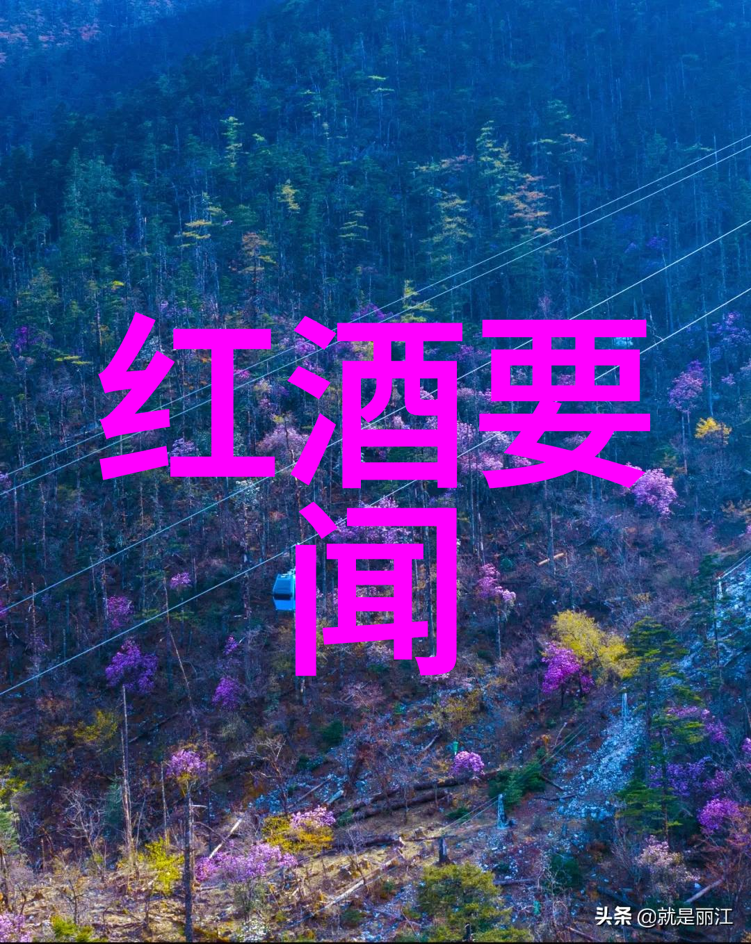 寻找身边未被发掘的美好一个人的周末冒险计划