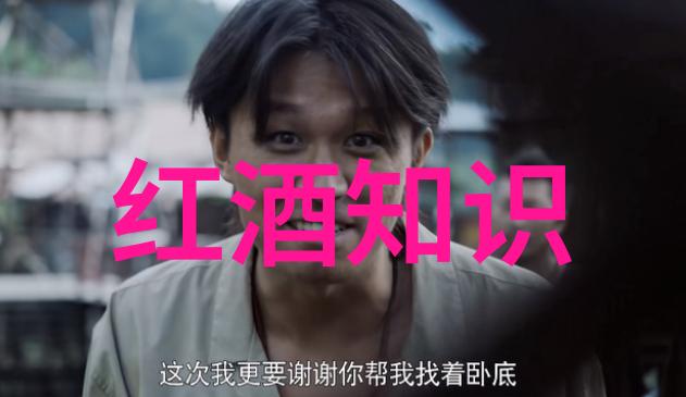 全球葡萄酒之都揭秘世界排名第一的产区