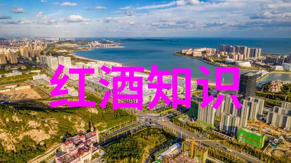 海月明珠捕捉生活的精致与宁静