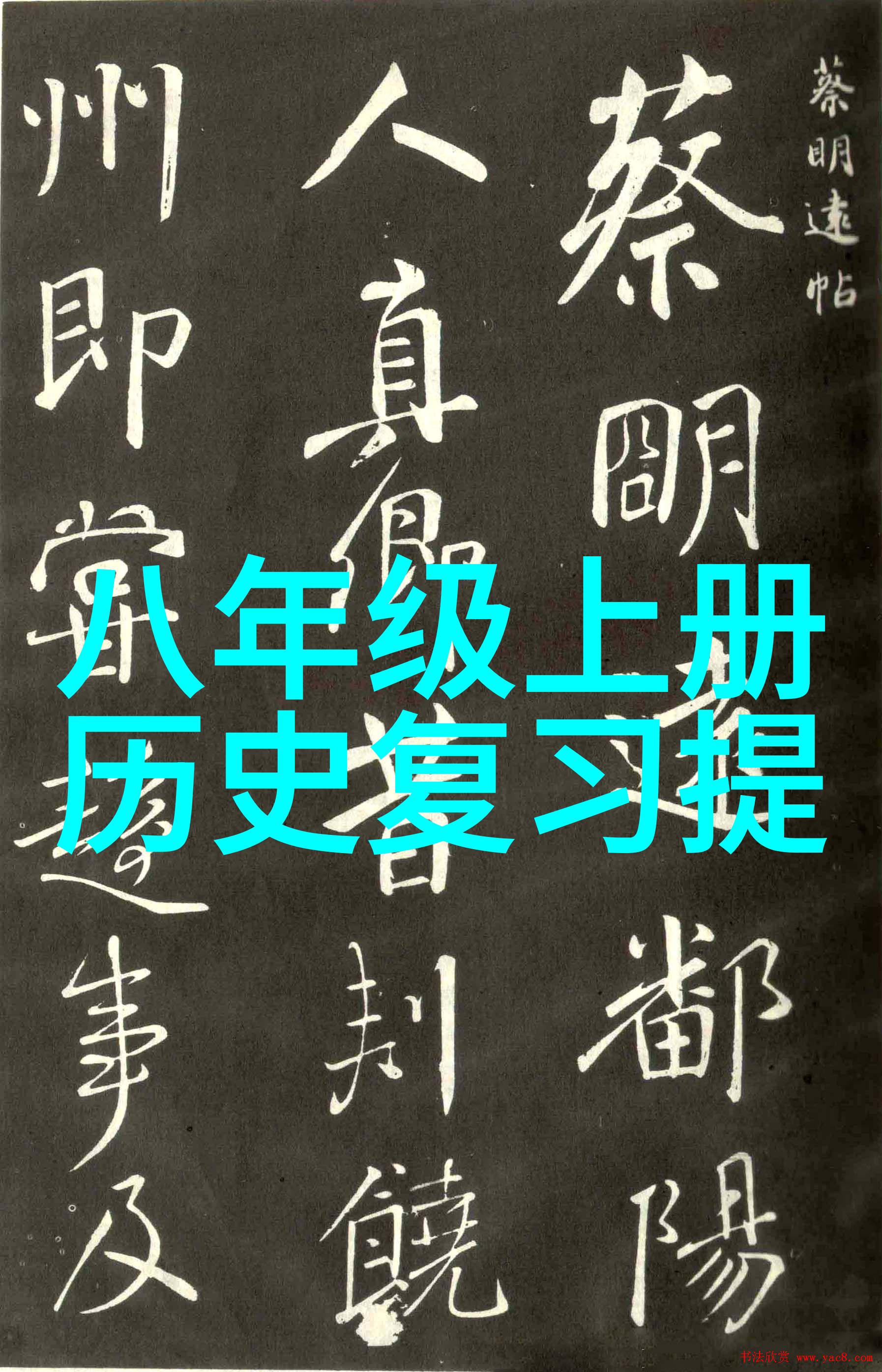 周边商城-探秘周边商城购物乐园的无限可能