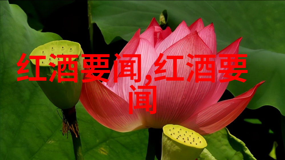 探索阿根廷葡萄酒的精髓主要产区解析