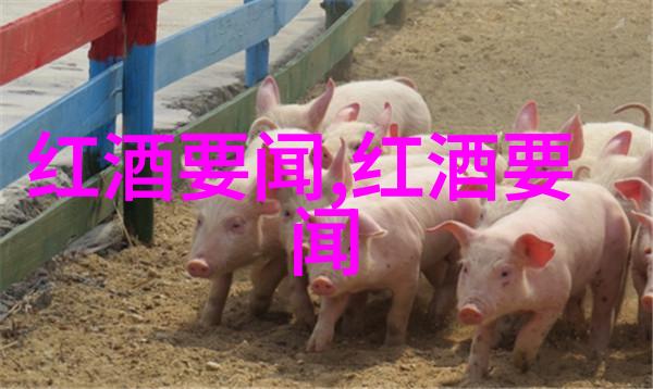 奴隶的长夜解读为奴十二年中的苦难与希望