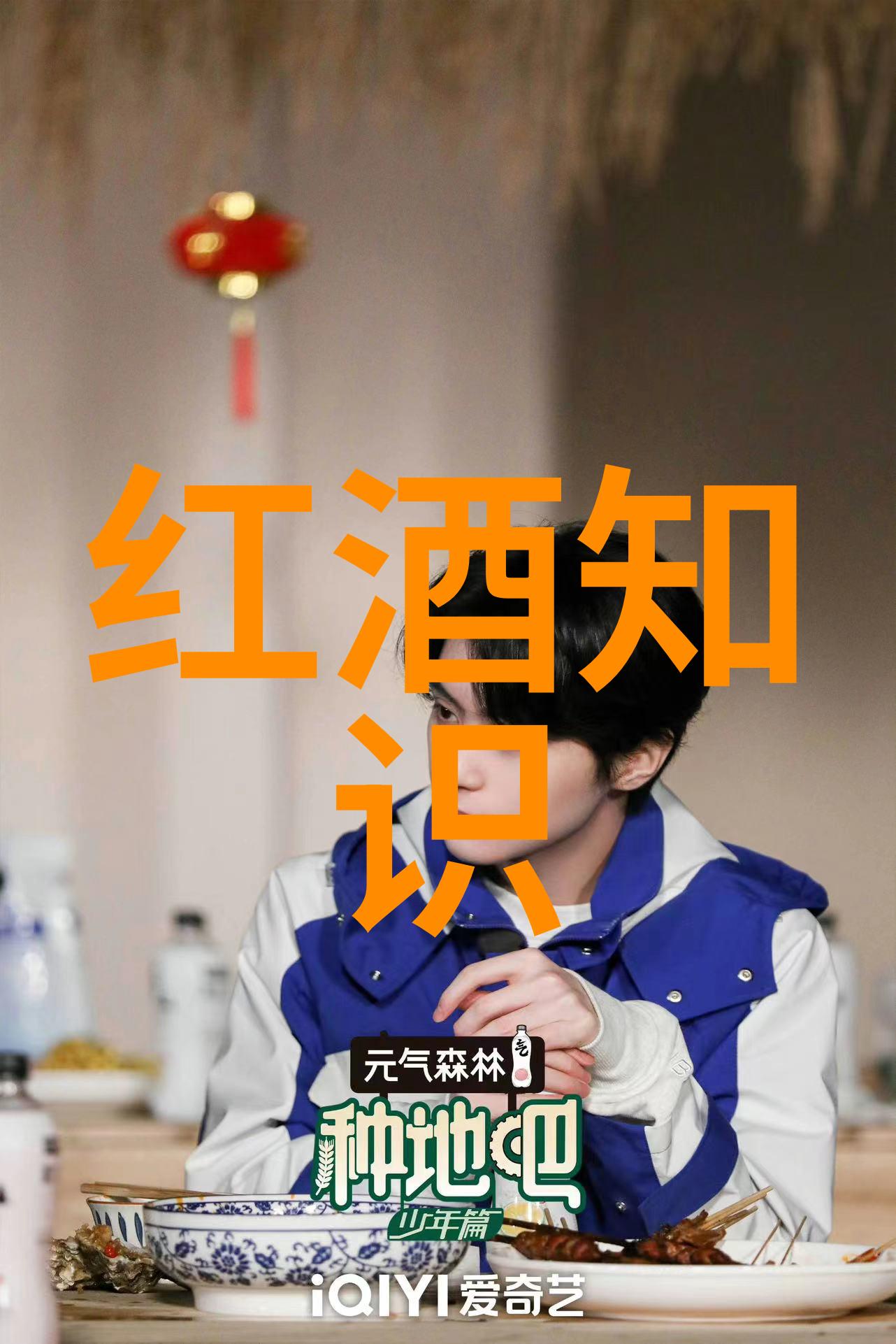 玉米品种-揭秘丰收的秘密世界各地独特的玉米系列