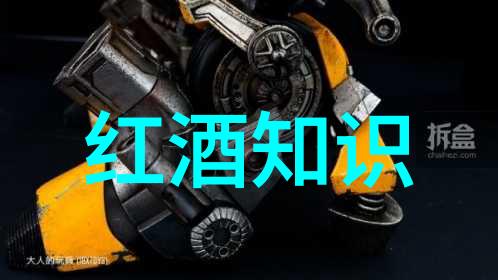 他们在何种领域内取得了卓越的成就
