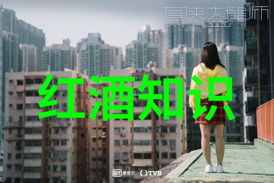 穿越迷雾的辩证诡辩与真相的交错探究