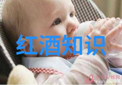 波尔多左右产区葡萄酒的双重魅力