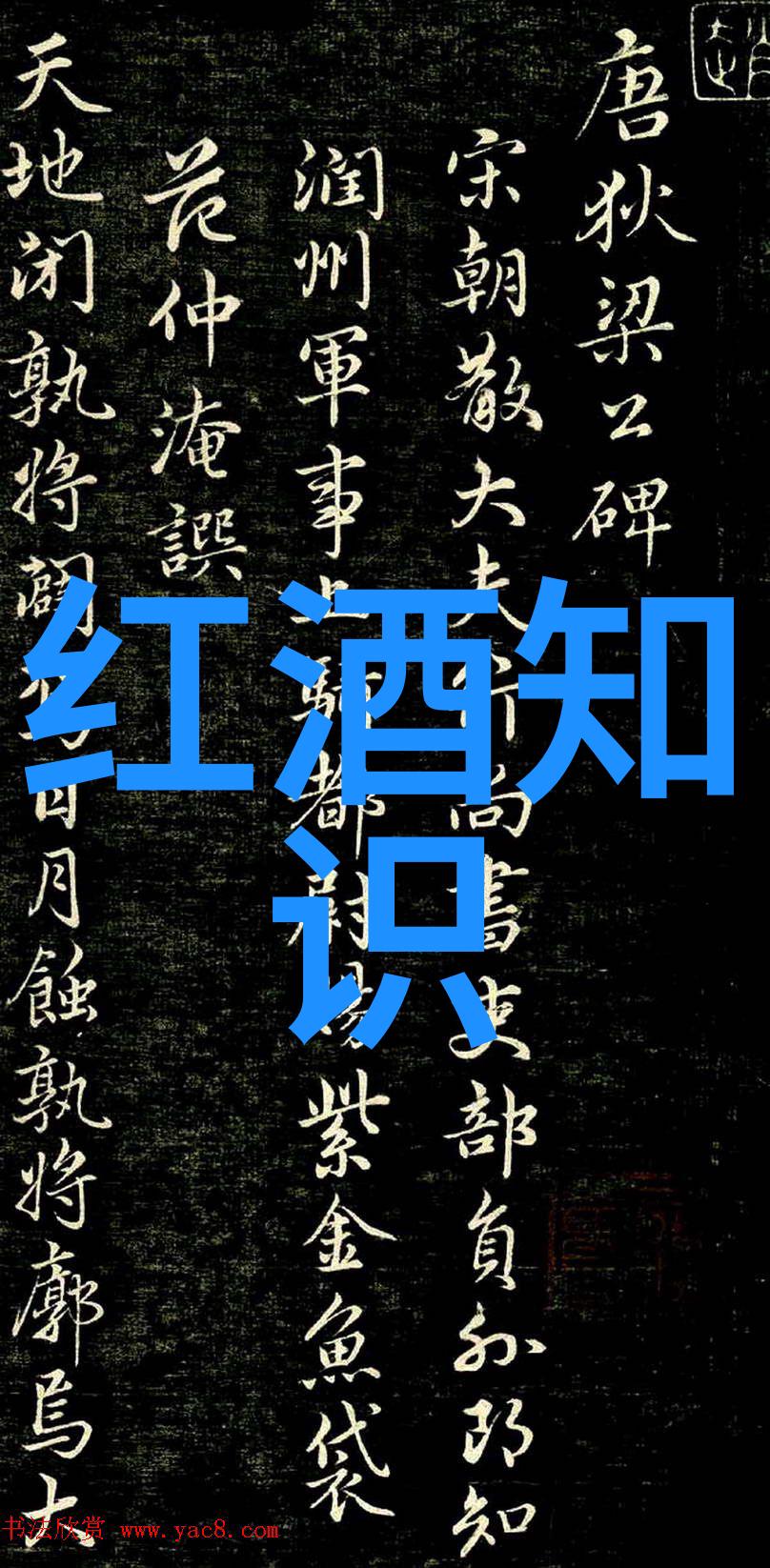 逆袭探秘从荒凉到繁华的奇迹之旅