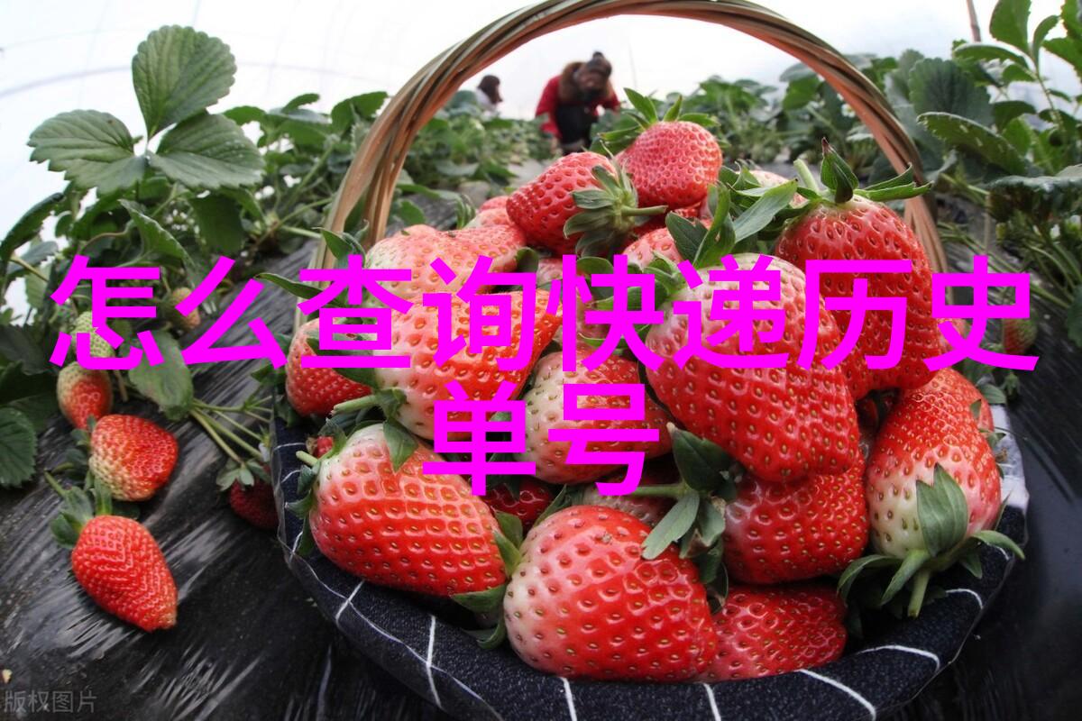 猫咪品种盛宴从优雅到古怪的无尽探索