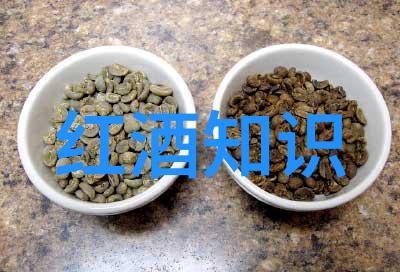 上海周边旅游景点二日游-探索静安寺和古镇的魅力一段难忘的周末之旅